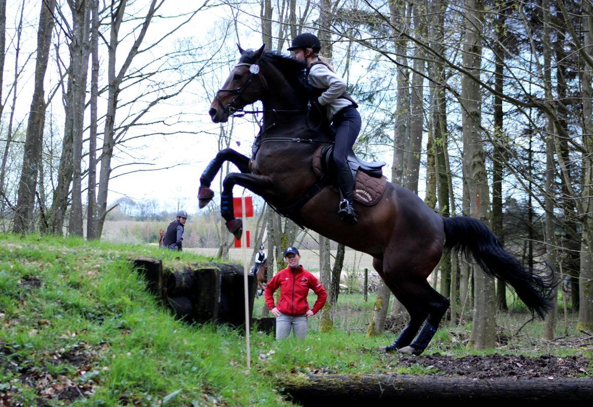 Terrænridning og Subaru Cup |  Emma Lindgreen Photography billede 46