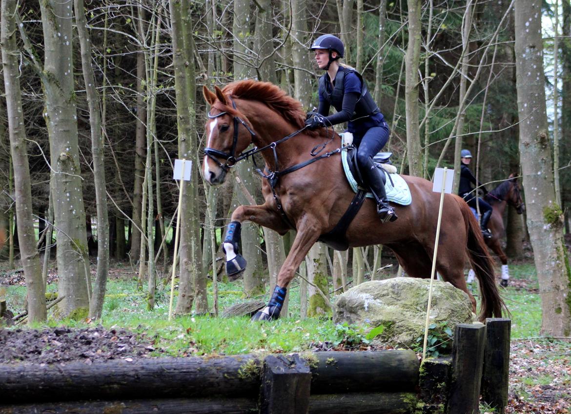 Terrænridning og Subaru Cup |  Emma Lindgreen Photography billede 47