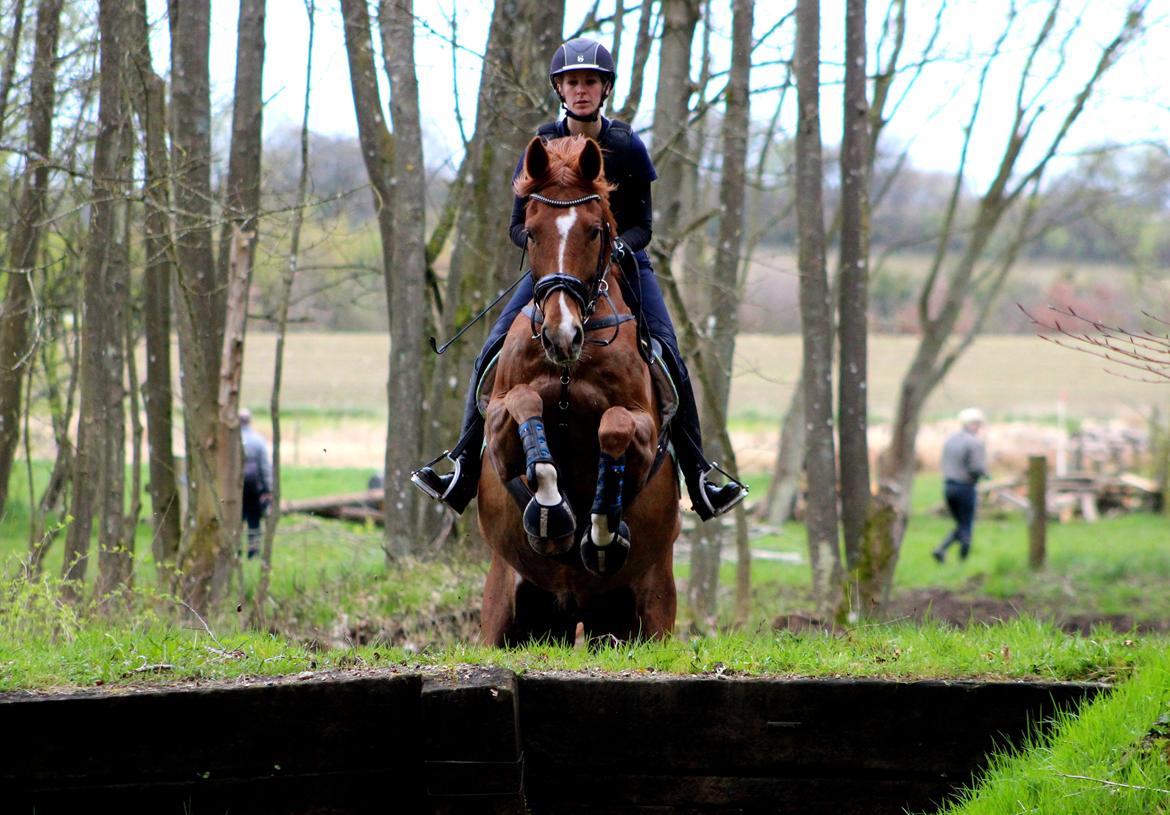 Terrænridning og Subaru Cup |  Emma Lindgreen Photography billede 45