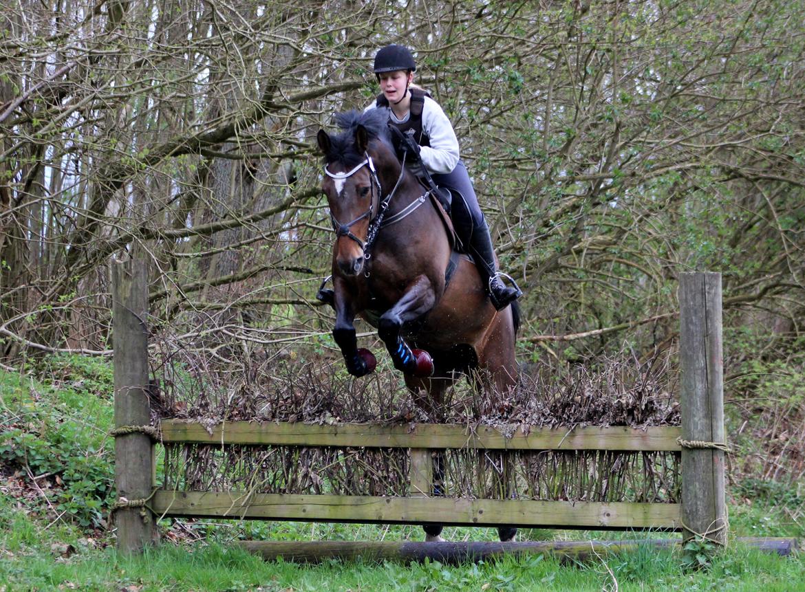 Terrænridning og Subaru Cup |  Emma Lindgreen Photography billede 48