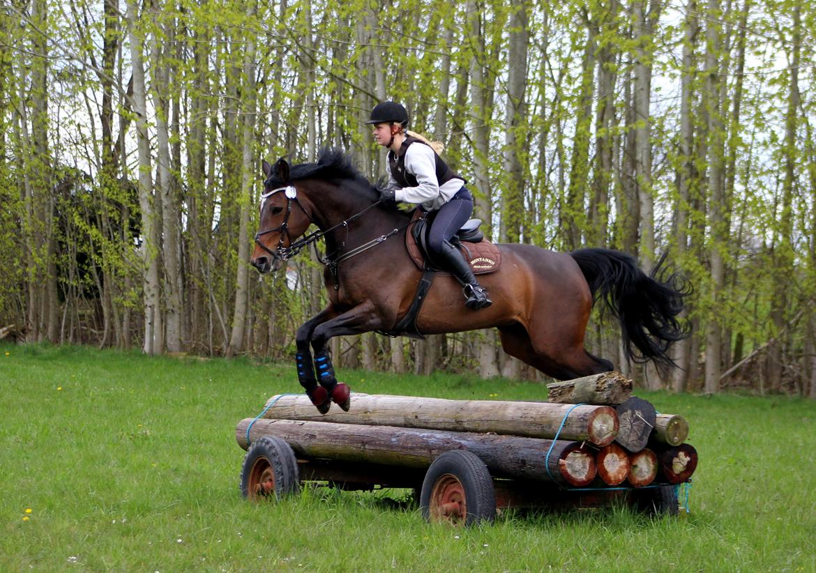 Terrænridning og Subaru Cup |  Emma Lindgreen Photography billede 50