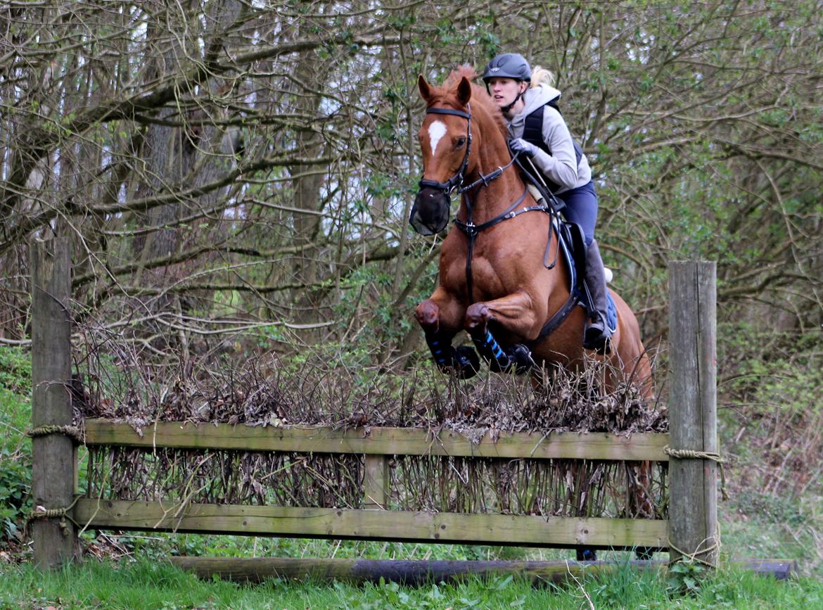 Terrænridning og Subaru Cup |  Emma Lindgreen Photography billede 49