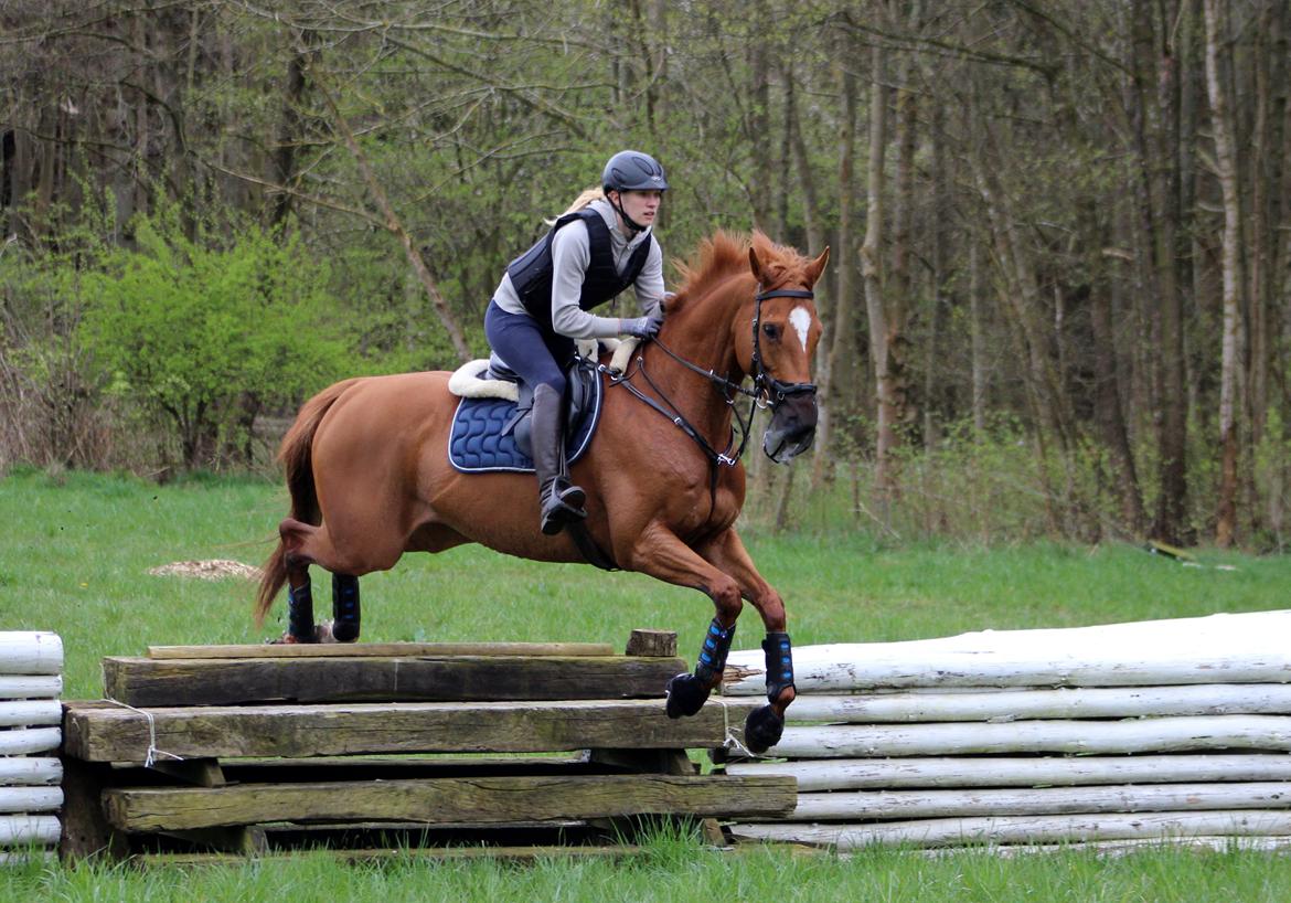 Terrænridning og Subaru Cup |  Emma Lindgreen Photography billede 51