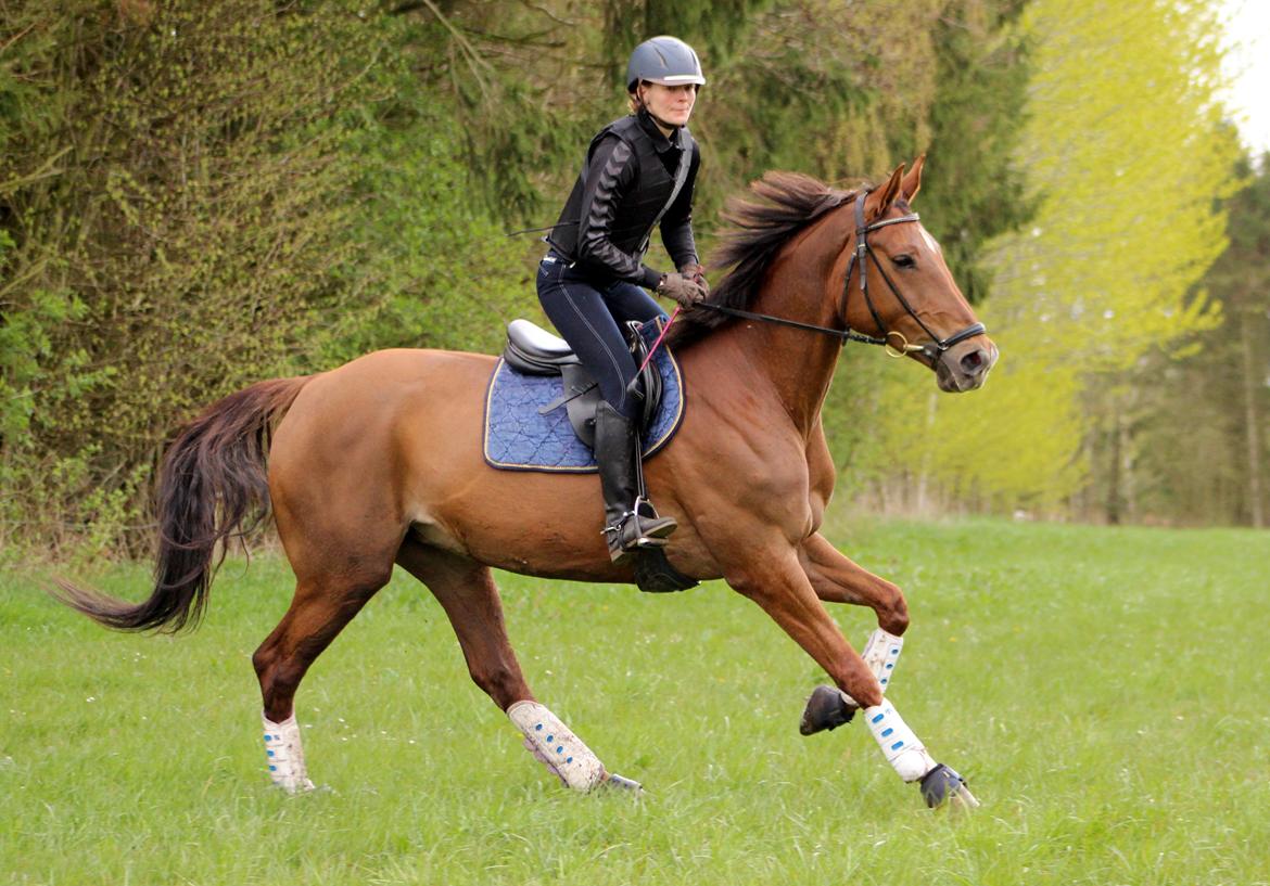 Terrænridning og Subaru Cup |  Emma Lindgreen Photography billede 53