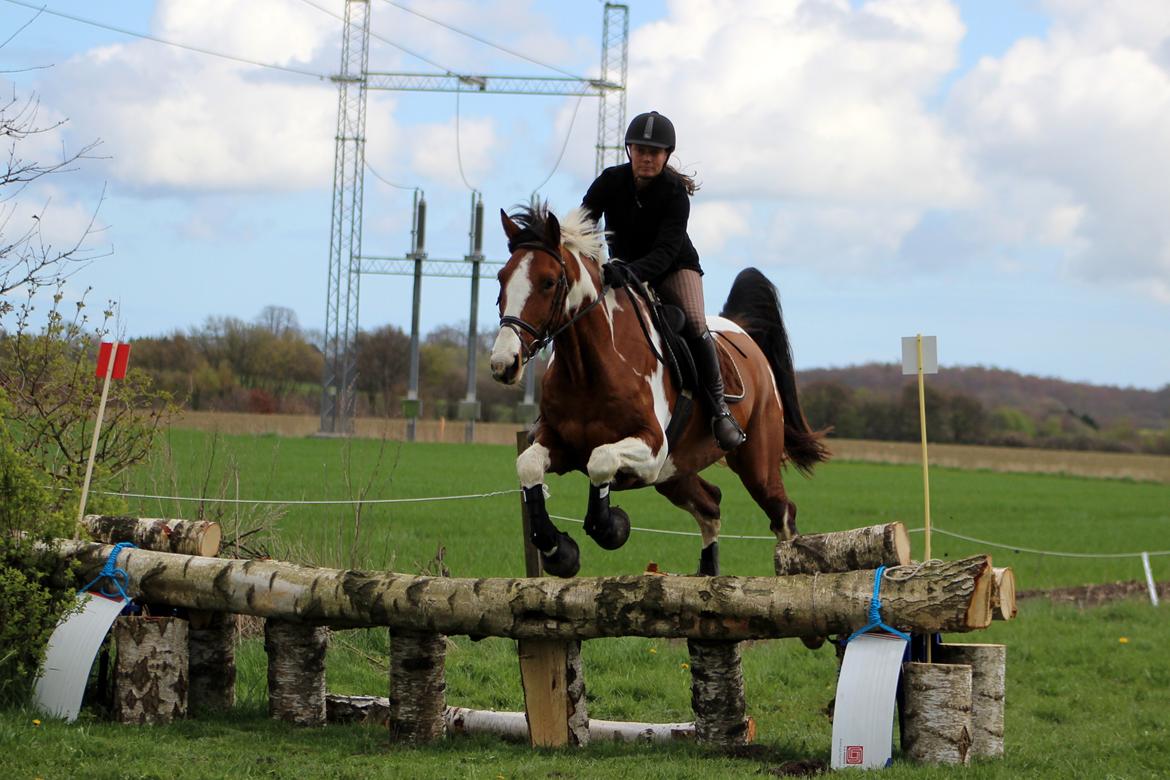 Terrænridning og Subaru Cup |  Emma Lindgreen Photography billede 55