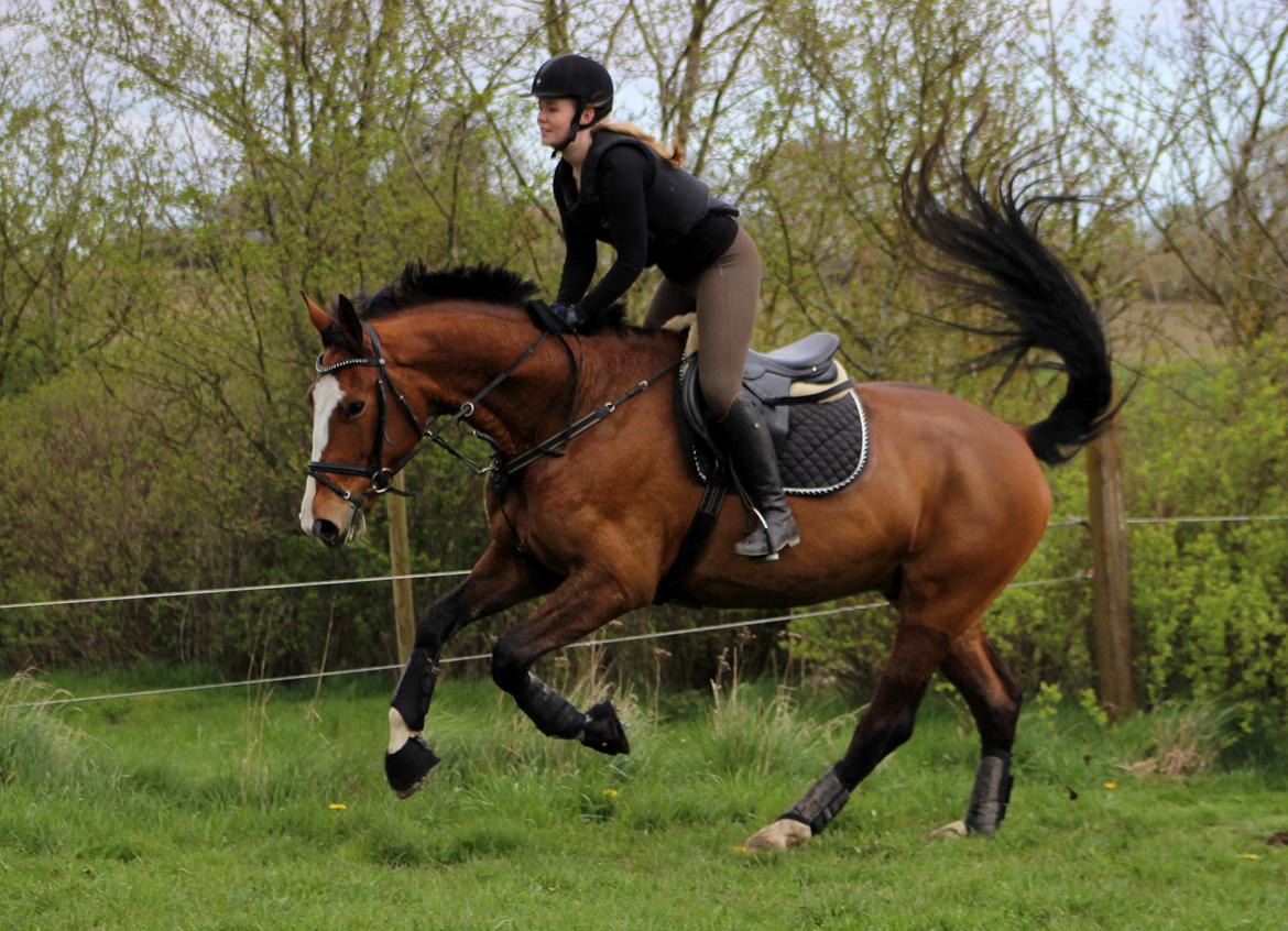 Terrænridning og Subaru Cup |  Emma Lindgreen Photography billede 56