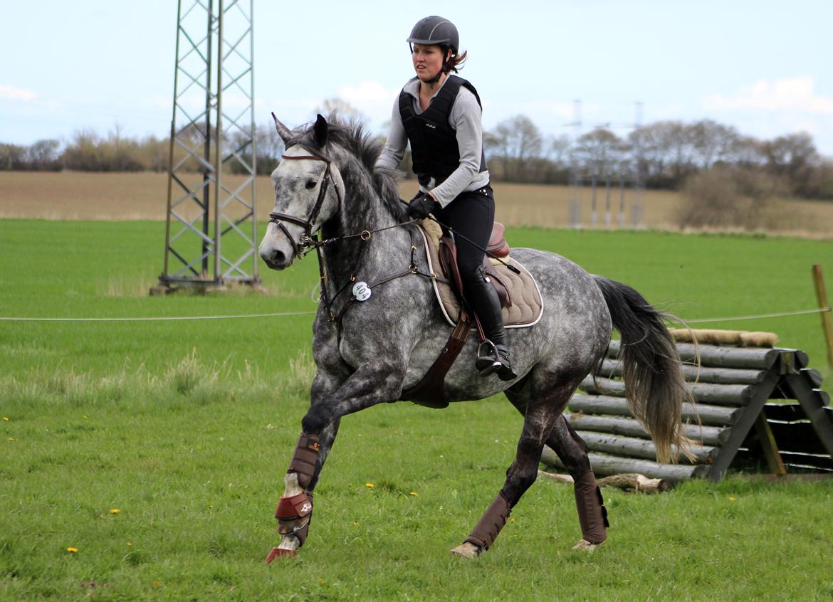 Terrænridning og Subaru Cup |  Emma Lindgreen Photography billede 57