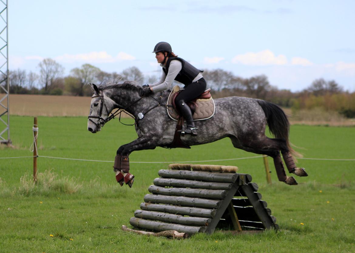 Terrænridning og Subaru Cup |  Emma Lindgreen Photography billede 58