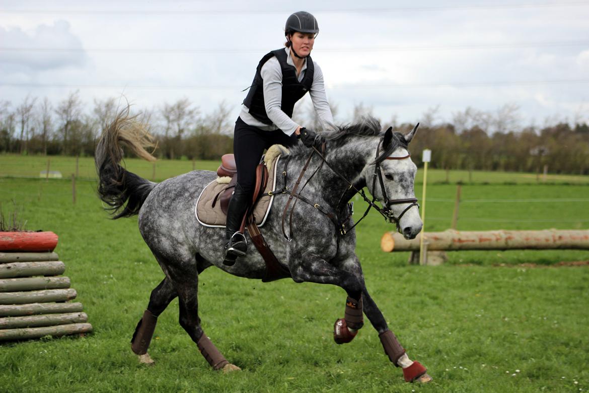 Terrænridning og Subaru Cup |  Emma Lindgreen Photography billede 59