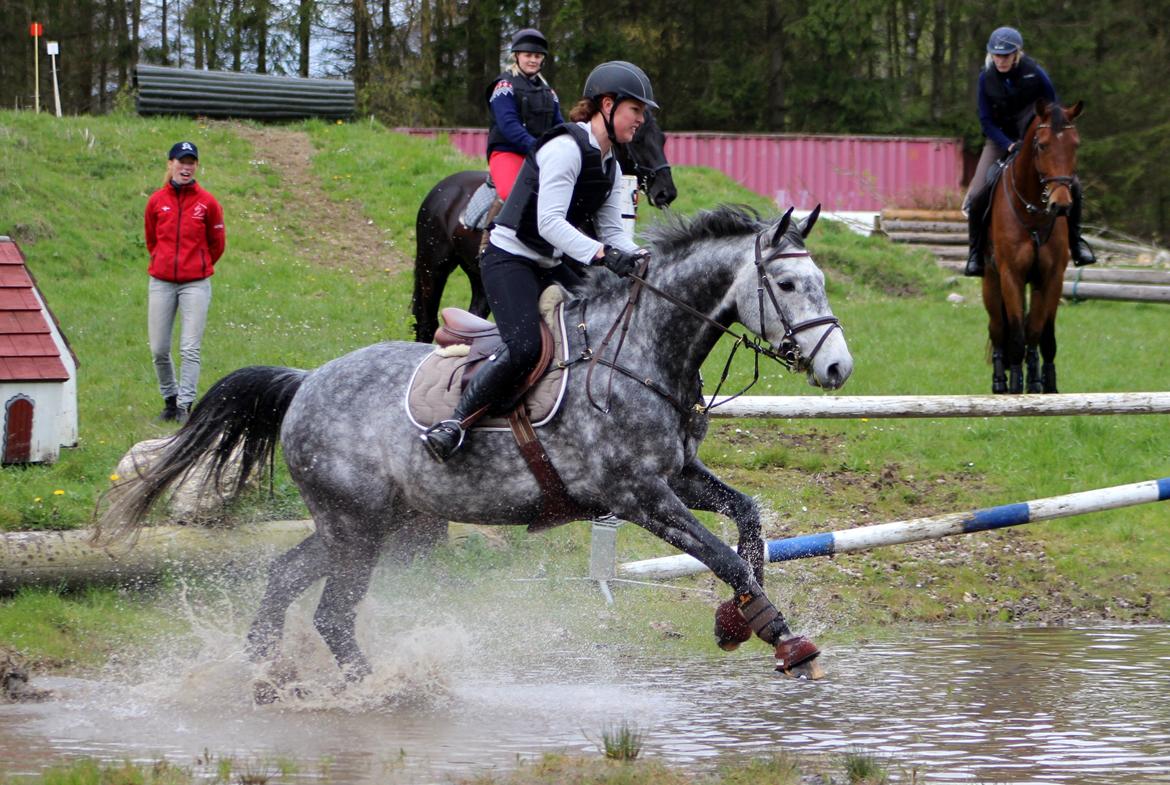Terrænridning og Subaru Cup |  Emma Lindgreen Photography billede 60