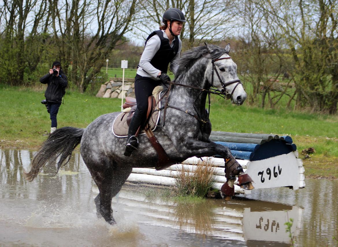 Terrænridning og Subaru Cup |  Emma Lindgreen Photography billede 61