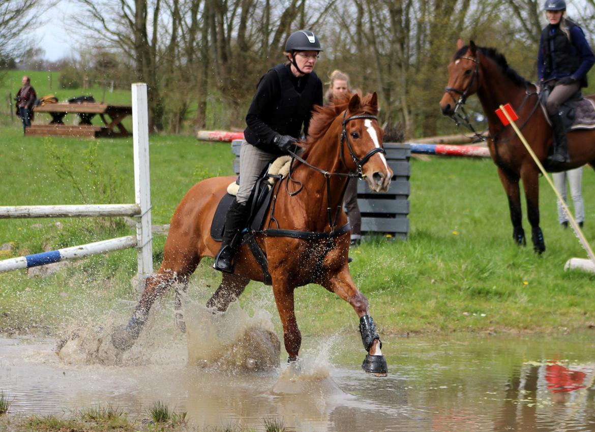 Terrænridning og Subaru Cup |  Emma Lindgreen Photography billede 62