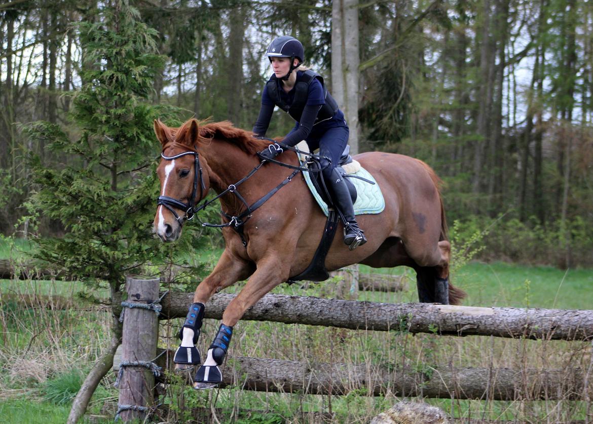 Terrænridning og Subaru Cup |  Emma Lindgreen Photography billede 54