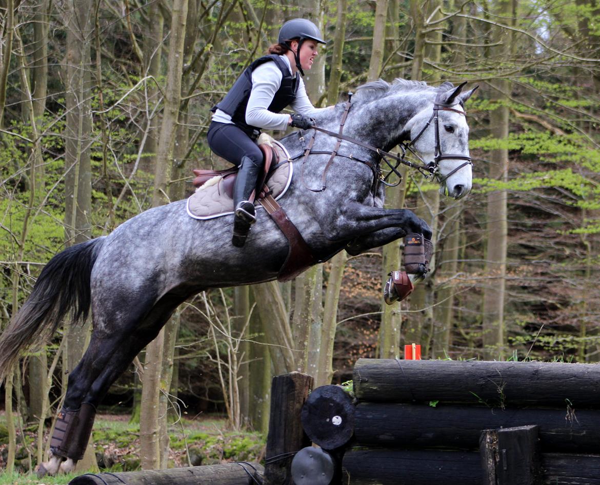 Terrænridning og Subaru Cup |  Emma Lindgreen Photography billede 64