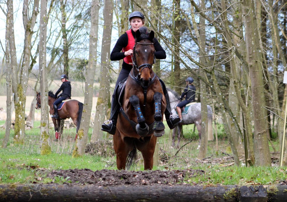 Terrænridning og Subaru Cup |  Emma Lindgreen Photography billede 65