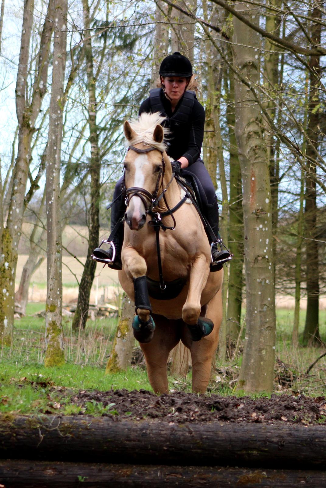 Terrænridning og Subaru Cup |  Emma Lindgreen Photography billede 66