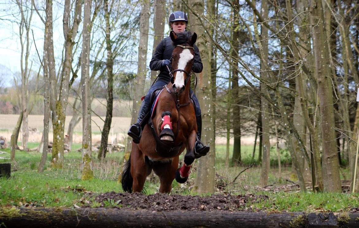 Terrænridning og Subaru Cup |  Emma Lindgreen Photography billede 67