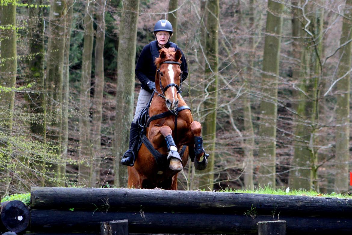 Terrænridning og Subaru Cup |  Emma Lindgreen Photography billede 63