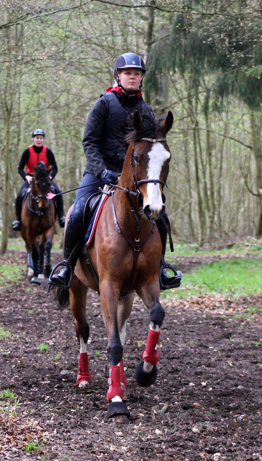 Terrænridning og Subaru Cup |  Emma Lindgreen Photography billede 68