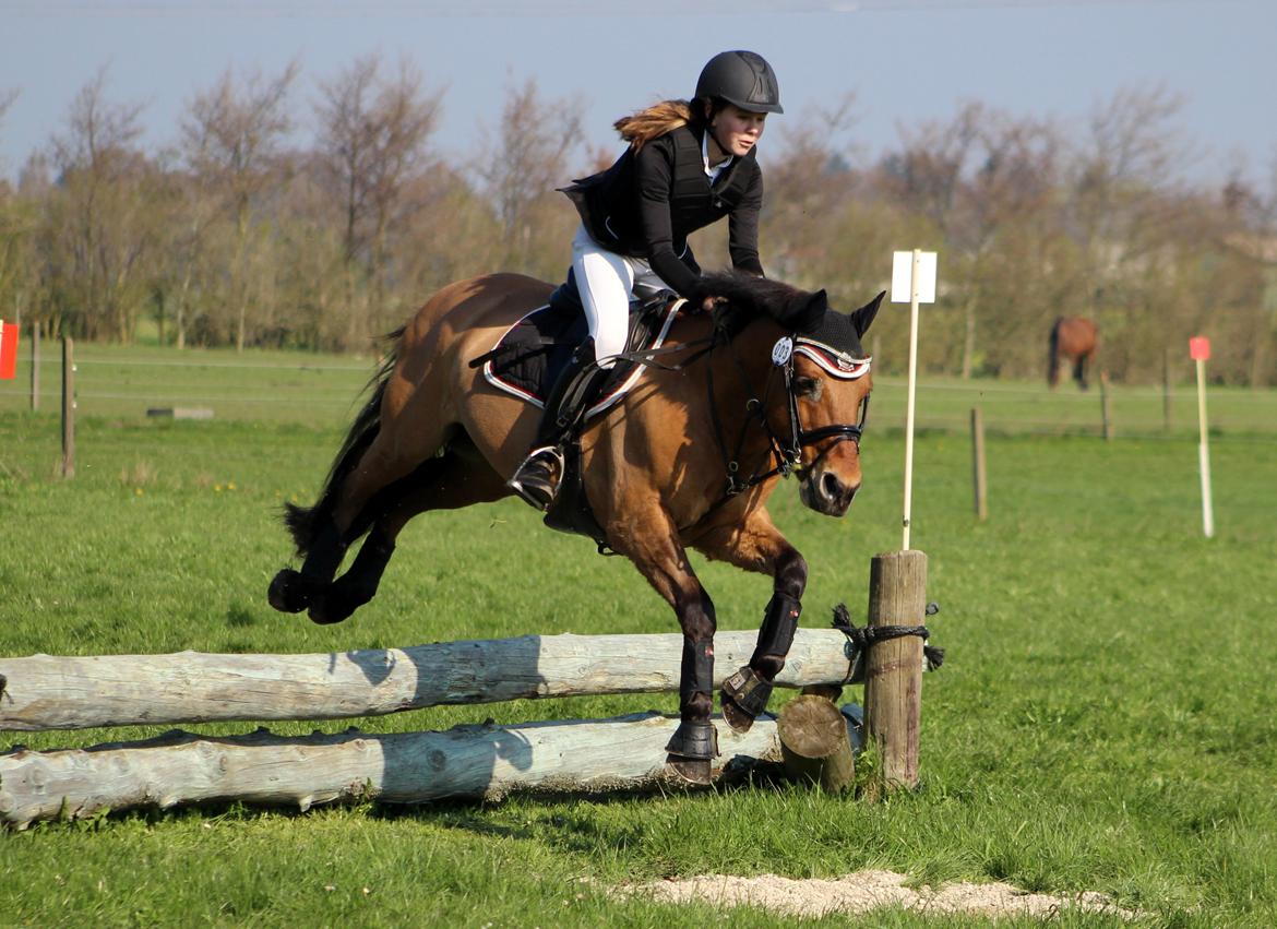 Terrænridning og Subaru Cup |  Emma Lindgreen Photography billede 70