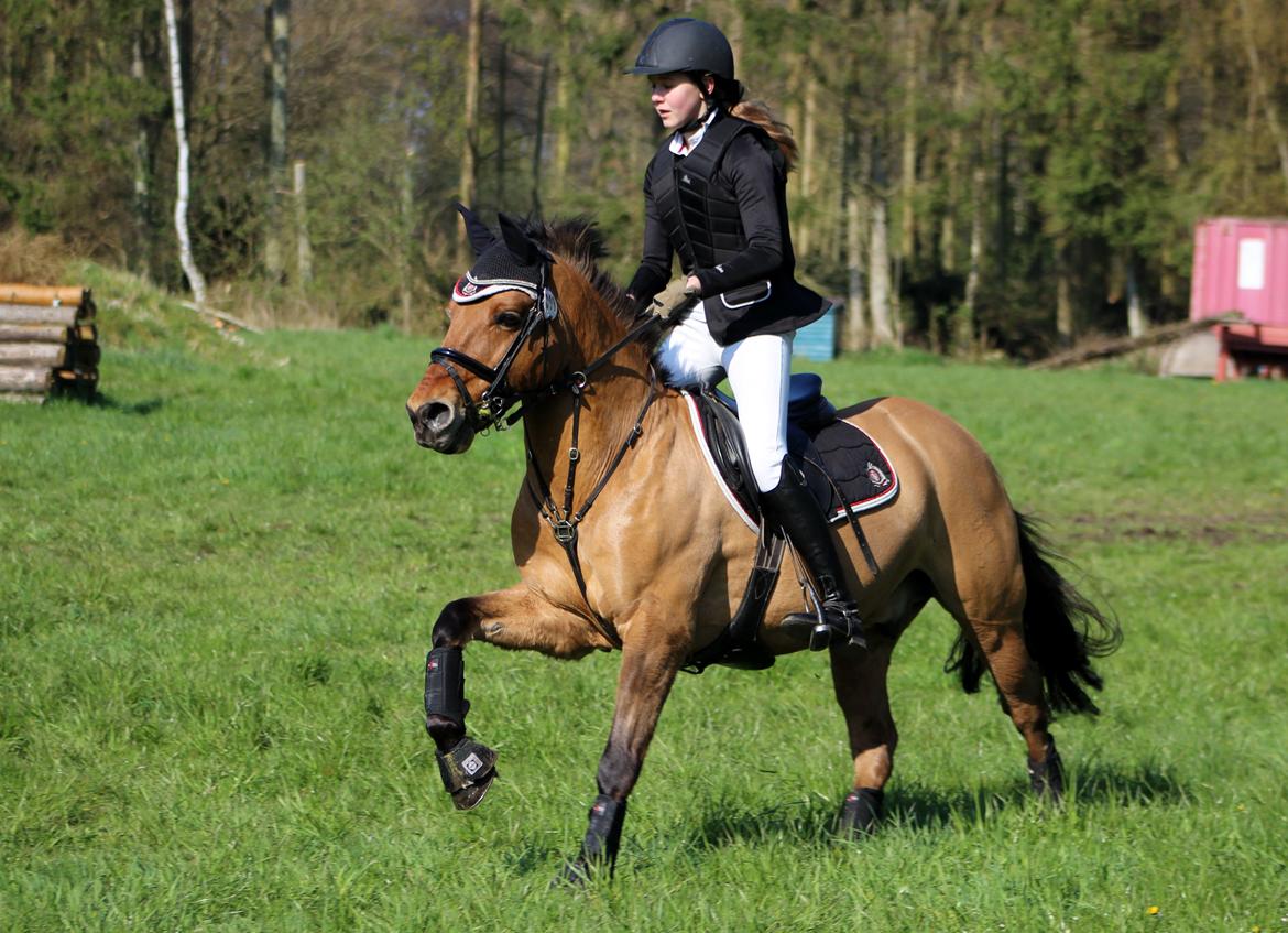 Terrænridning og Subaru Cup |  Emma Lindgreen Photography billede 71