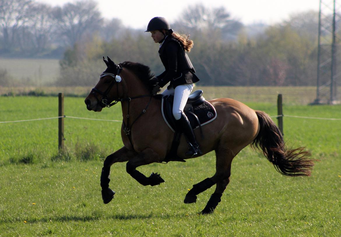 Terrænridning og Subaru Cup |  Emma Lindgreen Photography billede 72