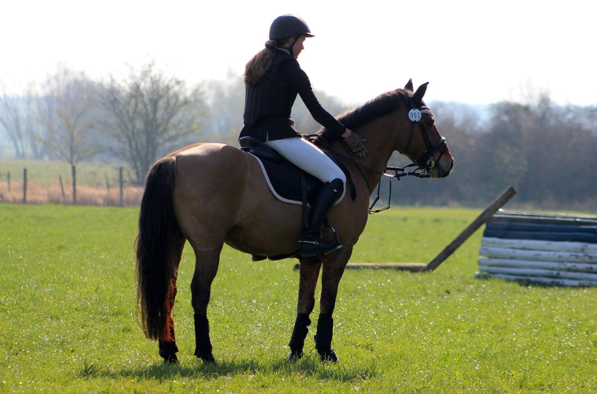 Terrænridning og Subaru Cup |  Emma Lindgreen Photography billede 73