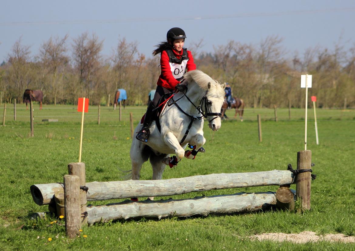 Terrænridning og Subaru Cup |  Emma Lindgreen Photography billede 74
