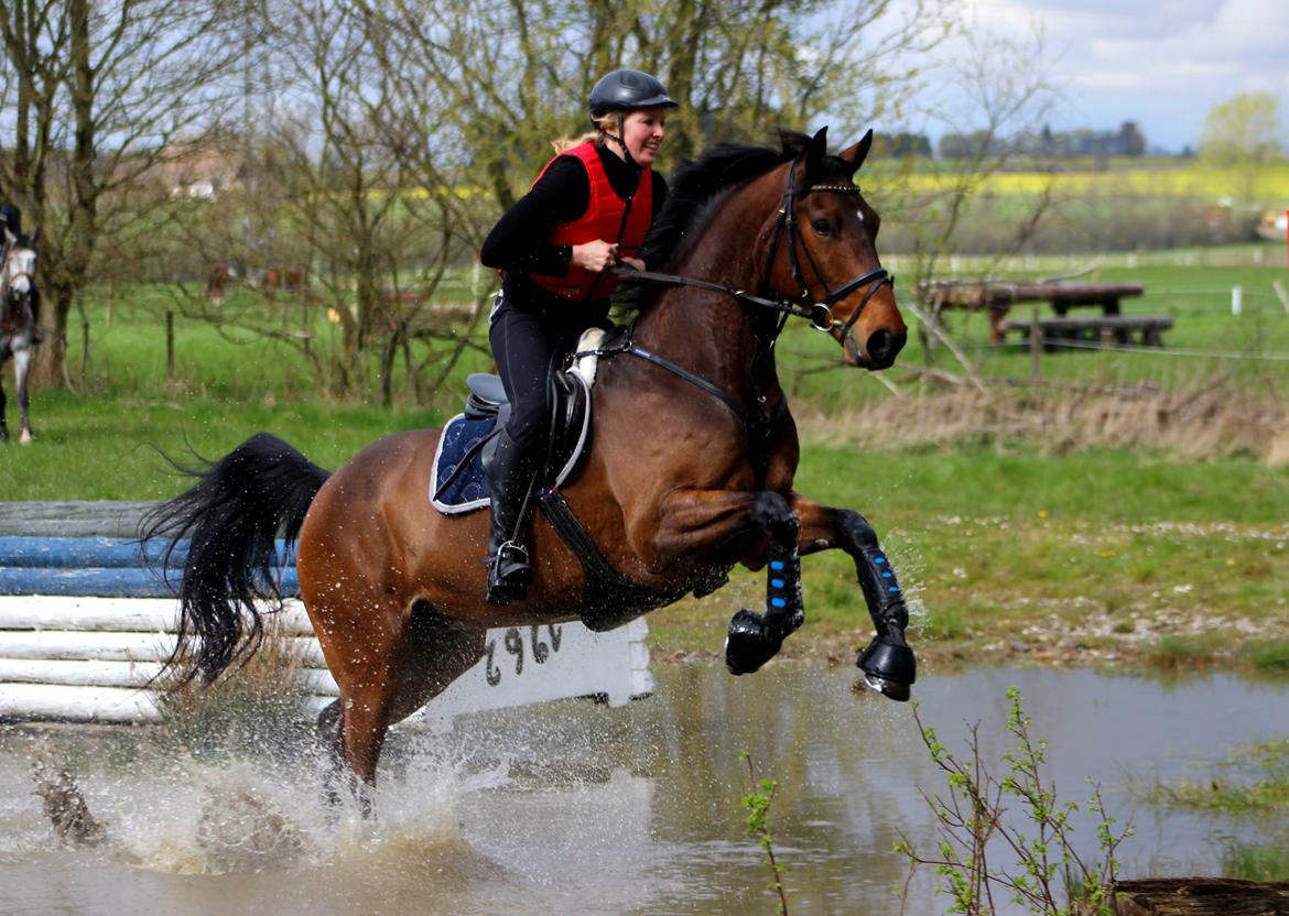 Terrænridning og Subaru Cup |  Emma Lindgreen Photography billede 69