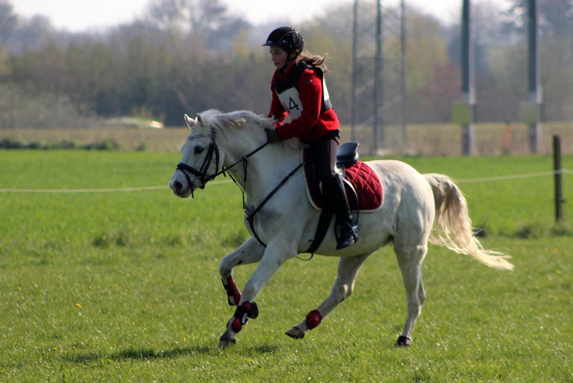 Terrænridning og Subaru Cup |  Emma Lindgreen Photography billede 76