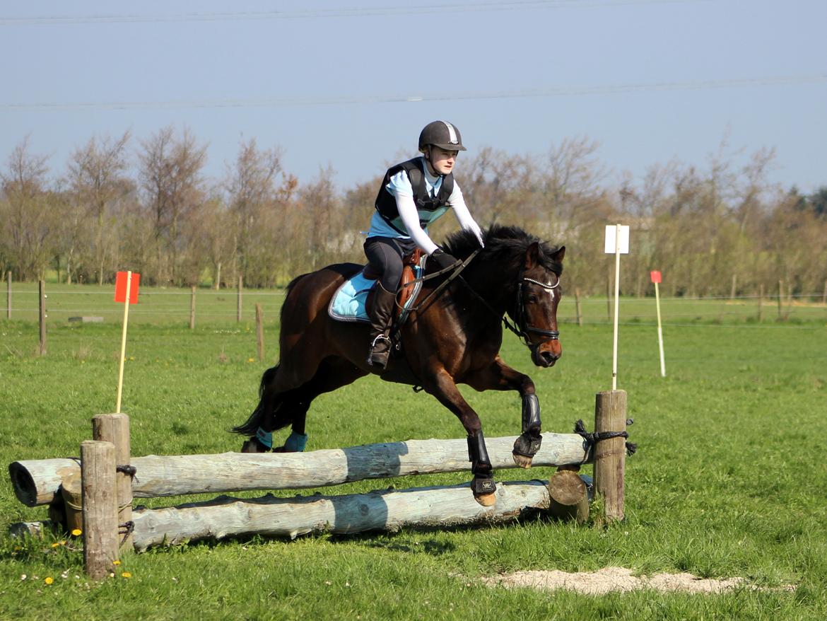 Terrænridning og Subaru Cup |  Emma Lindgreen Photography billede 77