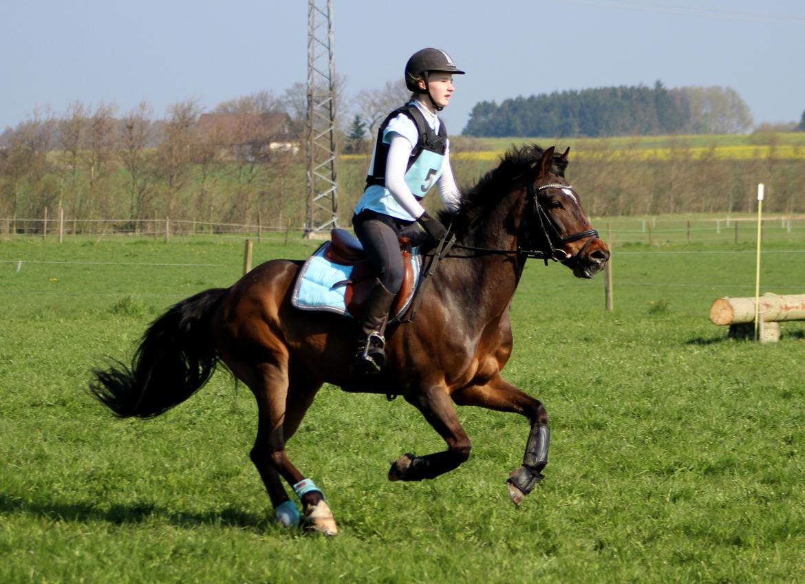 Terrænridning og Subaru Cup |  Emma Lindgreen Photography billede 78