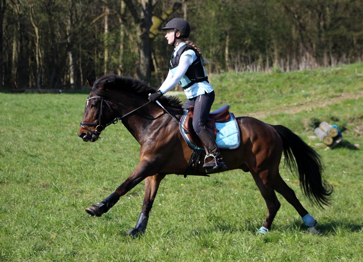 Terrænridning og Subaru Cup |  Emma Lindgreen Photography billede 79