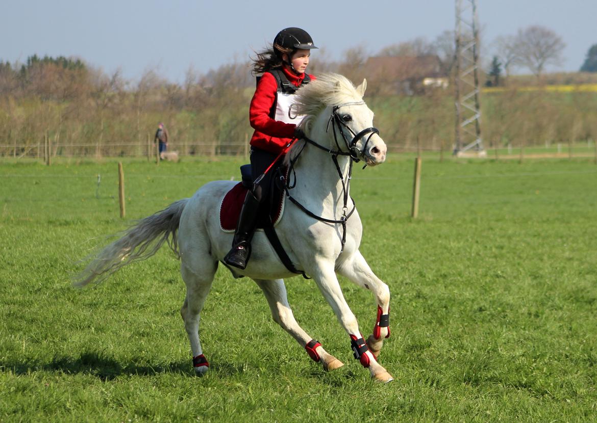 Terrænridning og Subaru Cup |  Emma Lindgreen Photography billede 75