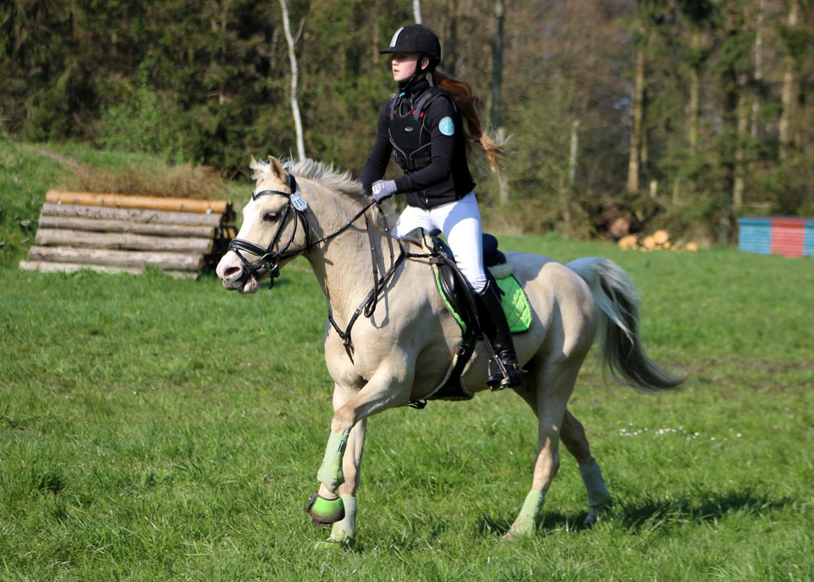 Terrænridning og Subaru Cup |  Emma Lindgreen Photography billede 81