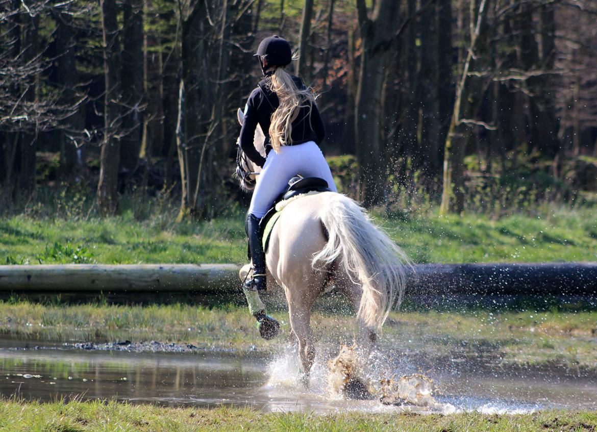 Terrænridning og Subaru Cup |  Emma Lindgreen Photography billede 82