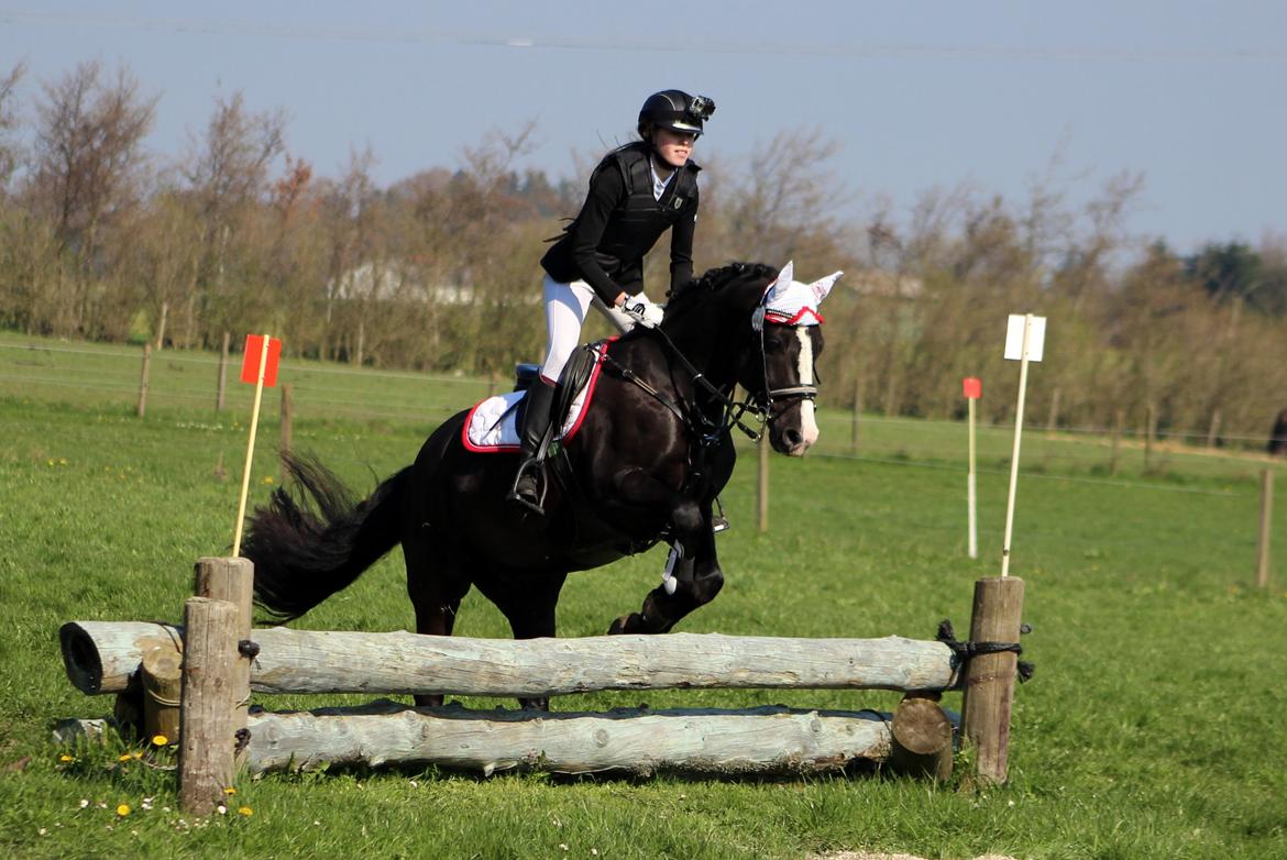 Terrænridning og Subaru Cup |  Emma Lindgreen Photography billede 83