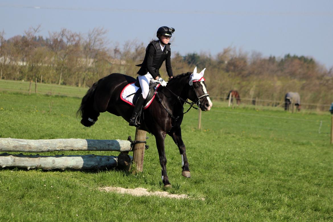 Terrænridning og Subaru Cup |  Emma Lindgreen Photography billede 84