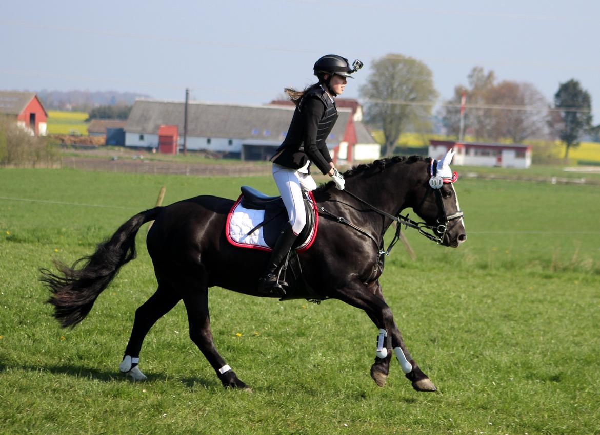 Terrænridning og Subaru Cup |  Emma Lindgreen Photography billede 85