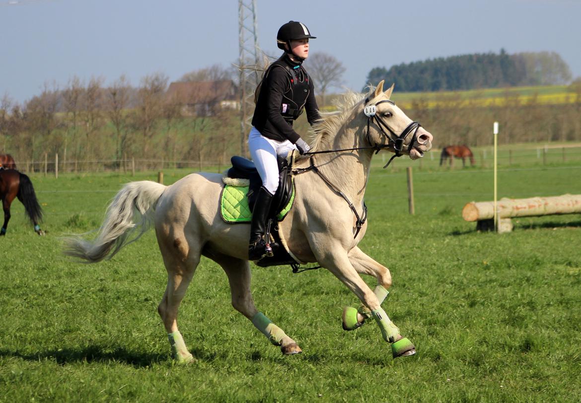 Terrænridning og Subaru Cup |  Emma Lindgreen Photography billede 80