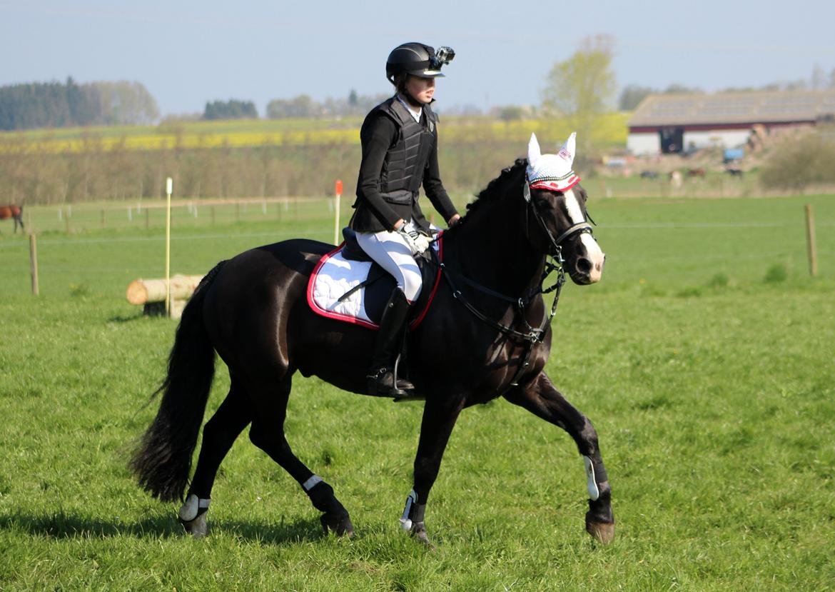 Terrænridning og Subaru Cup |  Emma Lindgreen Photography billede 87