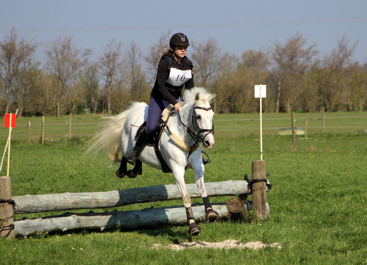 Terrænridning og Subaru Cup |  Emma Lindgreen Photography billede 88