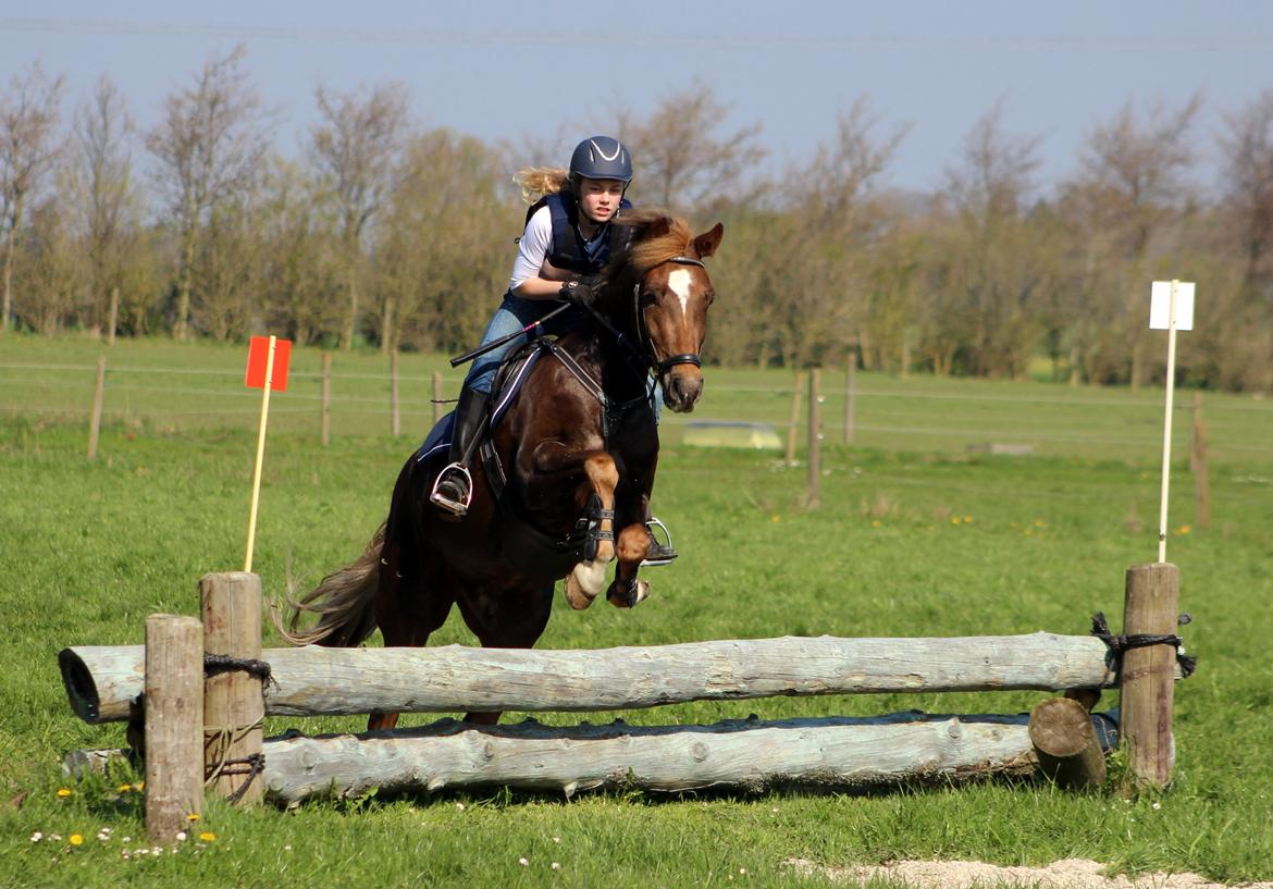 Terrænridning og Subaru Cup |  Emma Lindgreen Photography billede 89