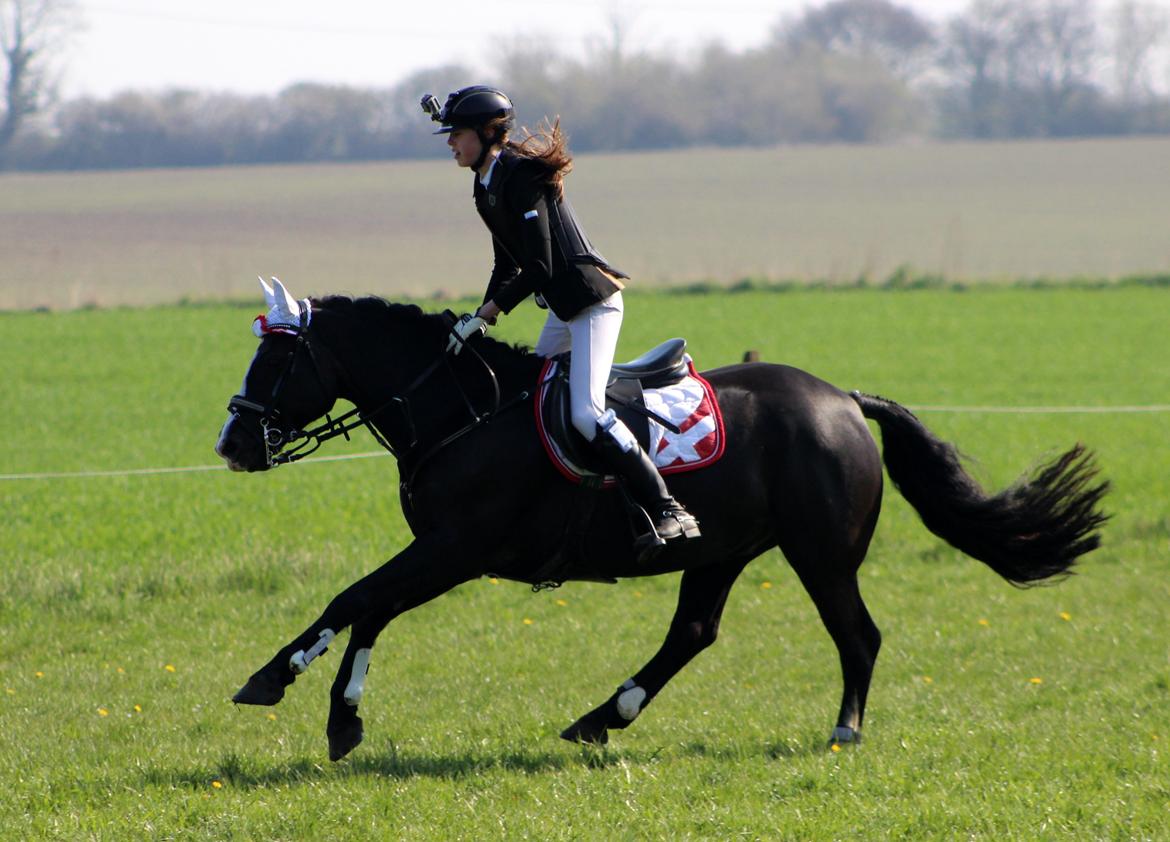 Terrænridning og Subaru Cup |  Emma Lindgreen Photography billede 86