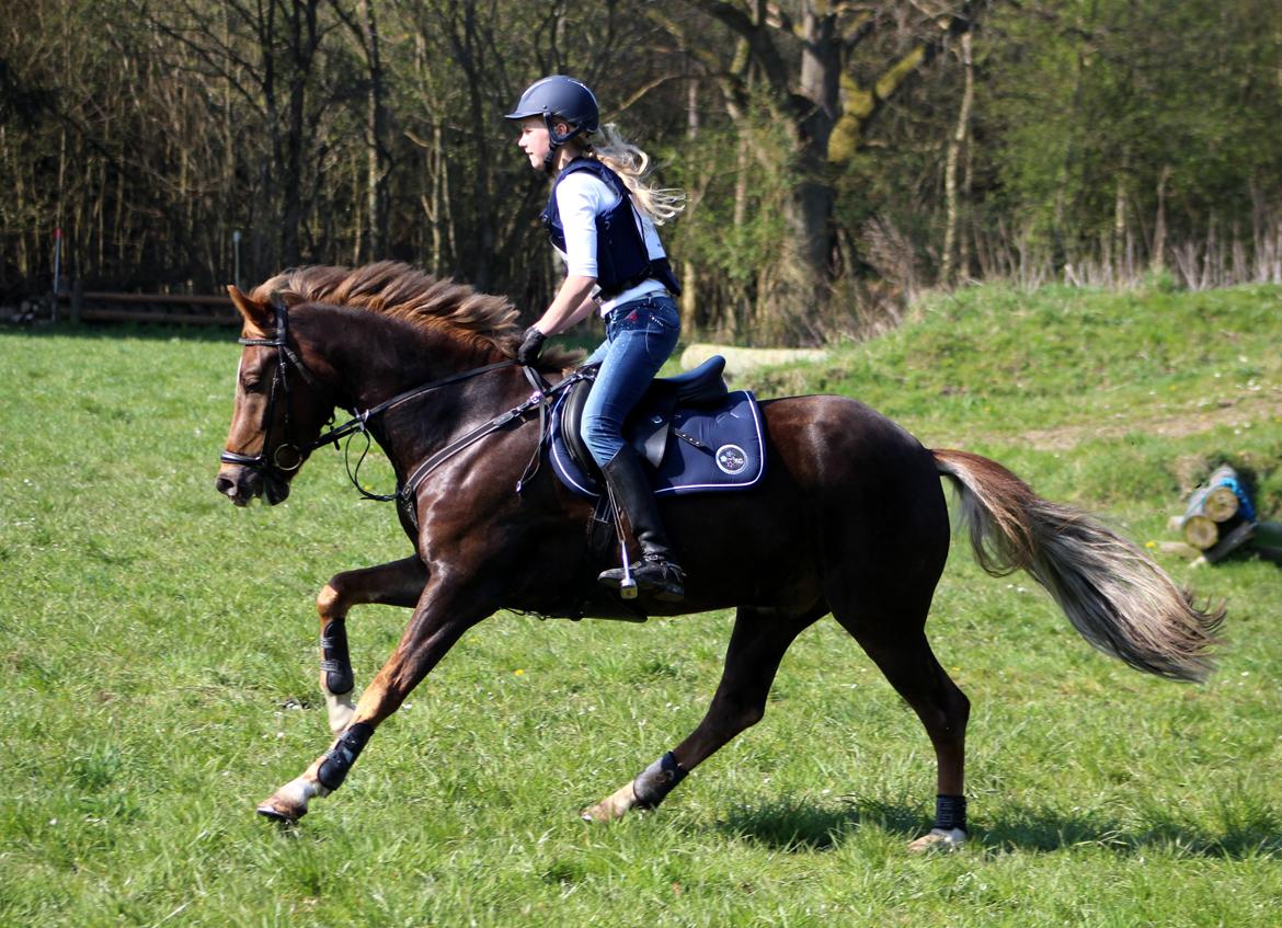Terrænridning og Subaru Cup |  Emma Lindgreen Photography billede 91