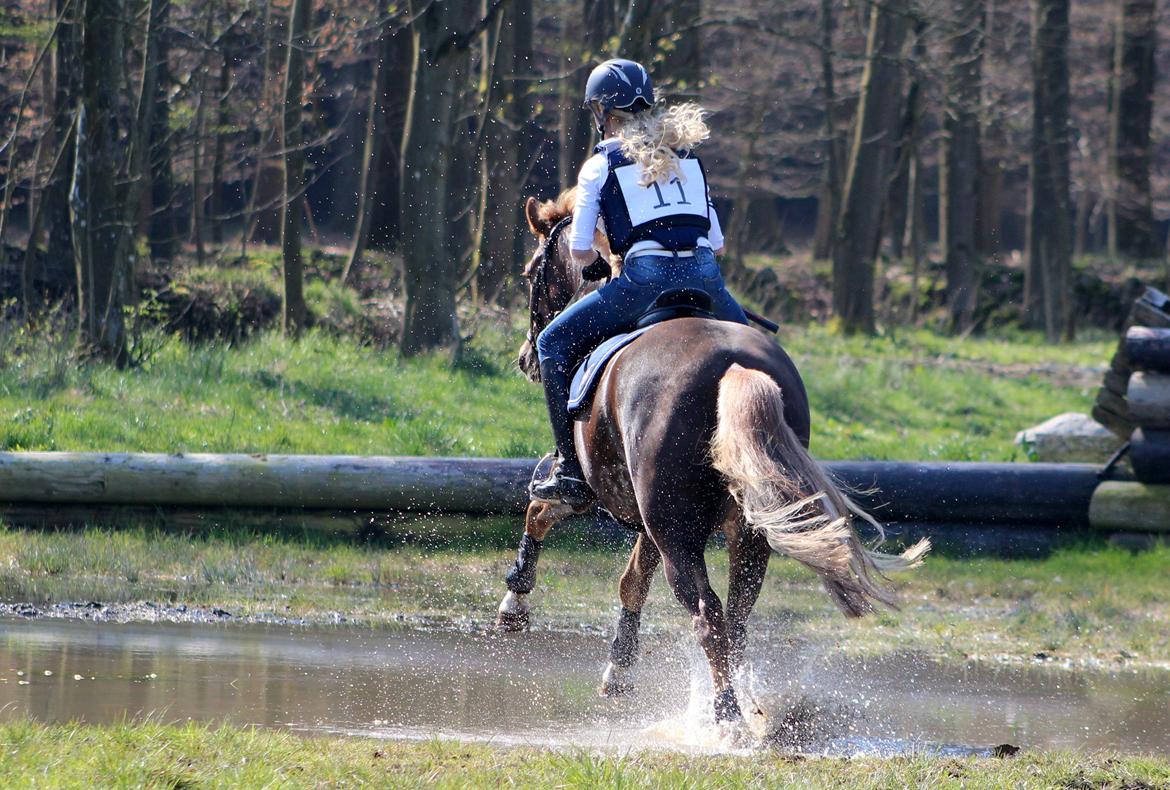 Terrænridning og Subaru Cup |  Emma Lindgreen Photography billede 92
