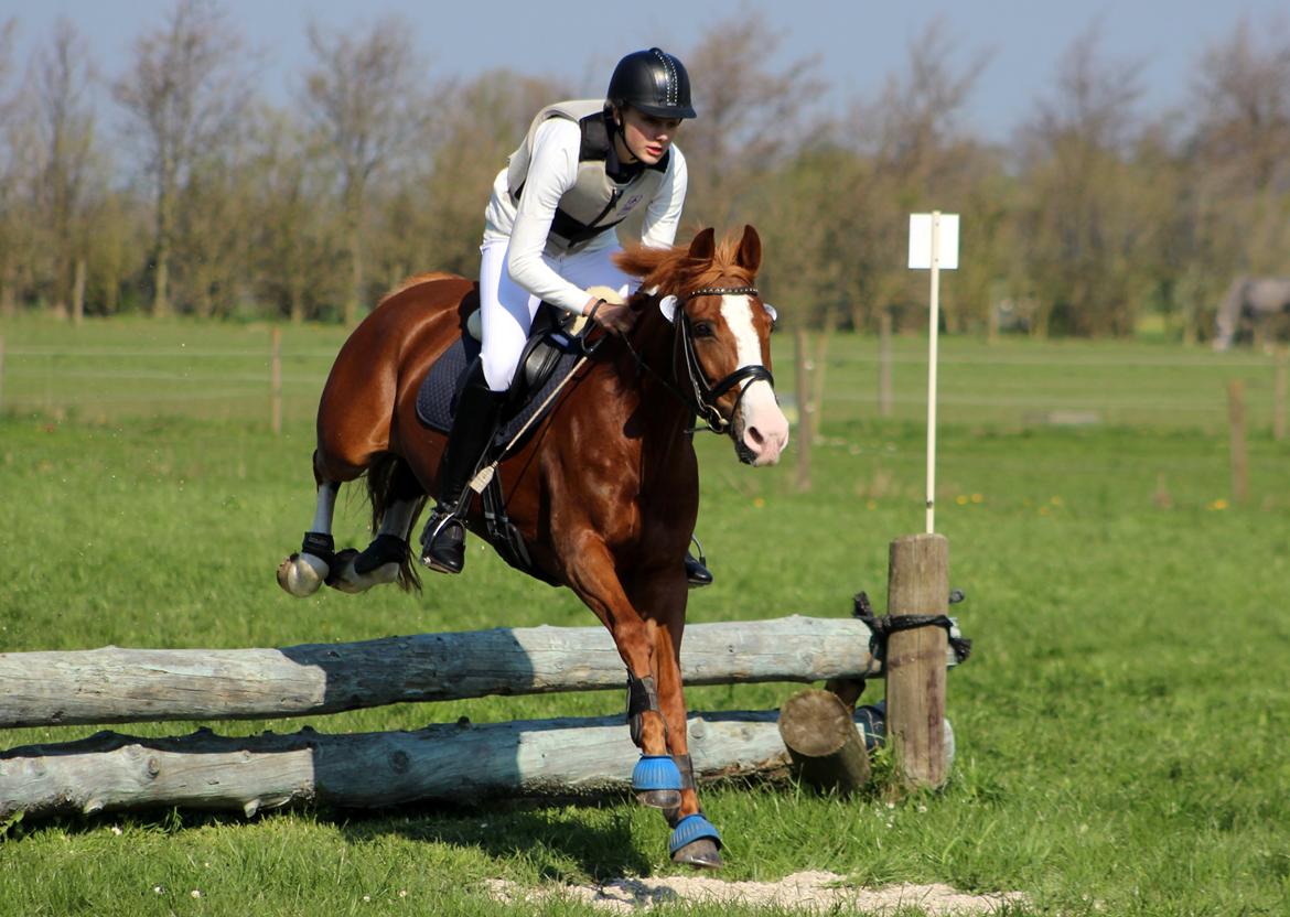 Terrænridning og Subaru Cup |  Emma Lindgreen Photography billede 93