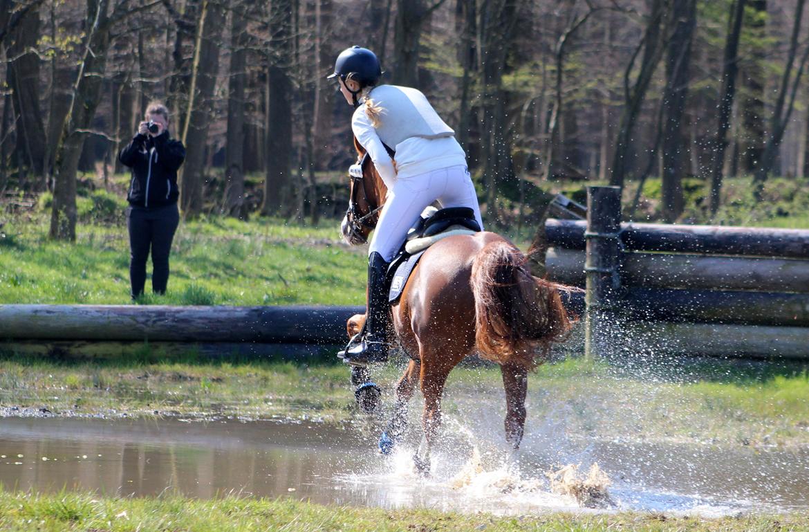 Terrænridning og Subaru Cup |  Emma Lindgreen Photography billede 95