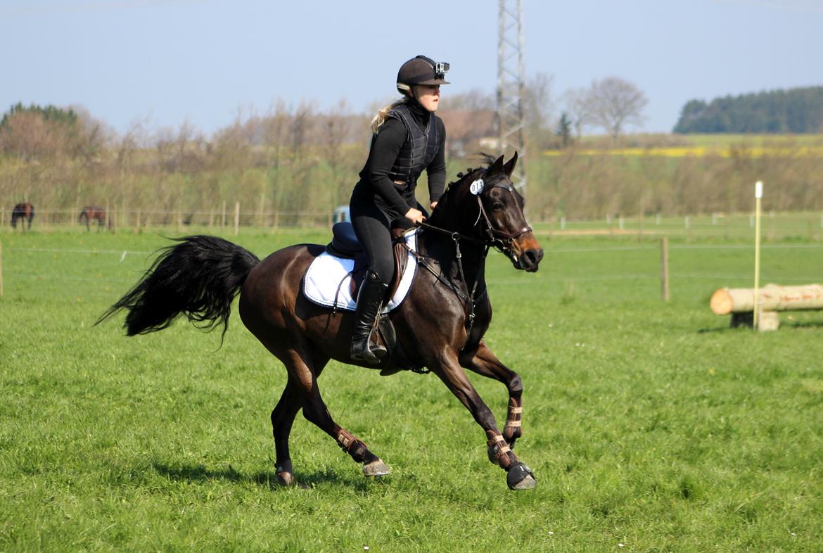 Terrænridning og Subaru Cup |  Emma Lindgreen Photography billede 96