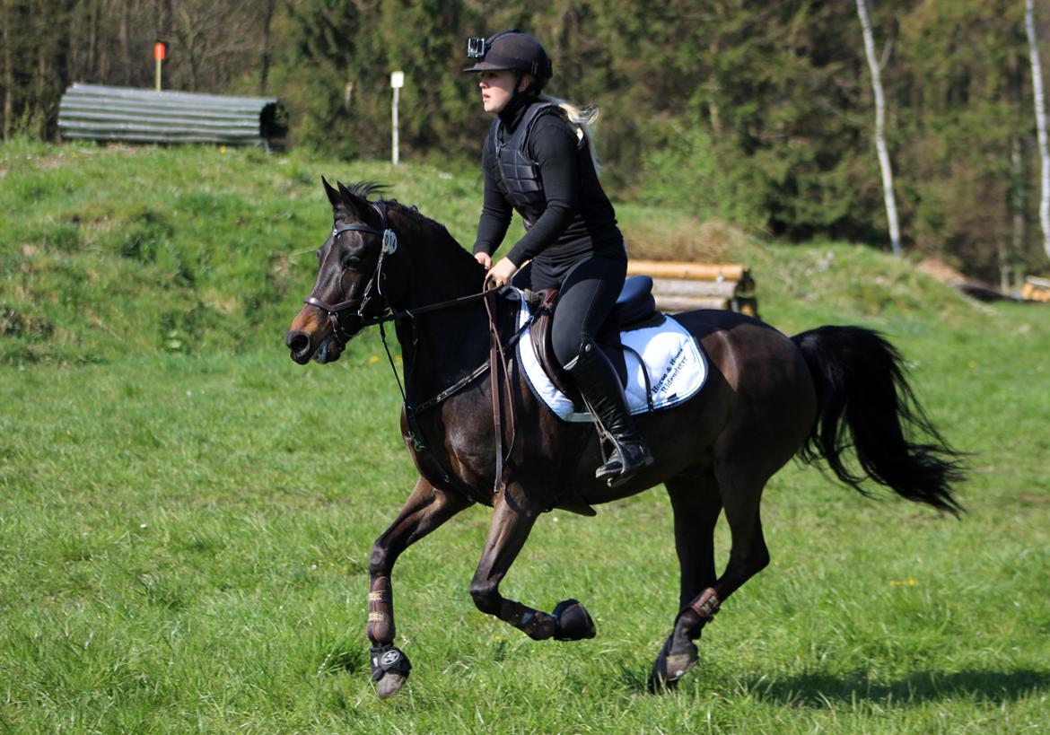 Terrænridning og Subaru Cup |  Emma Lindgreen Photography billede 97